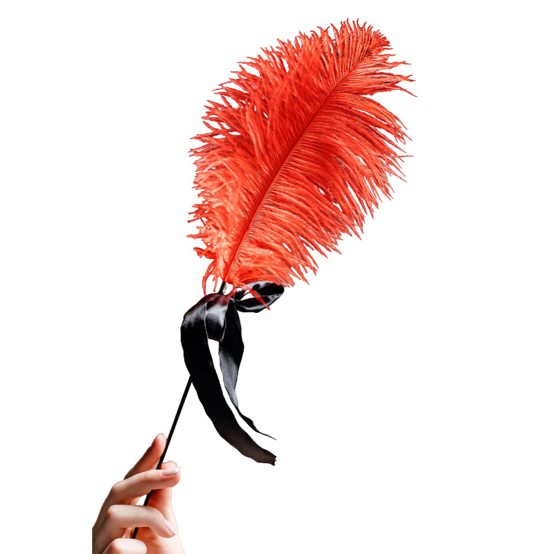 Щекоталка с пером красного цвета