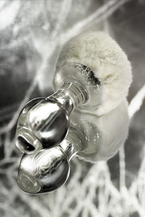 v8_7649_1f65c