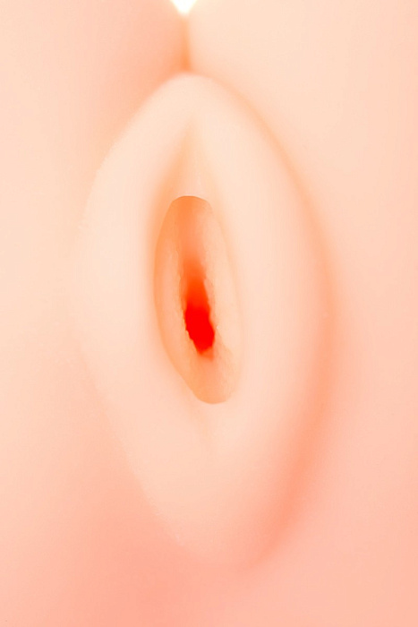 v8_7649_1cfbc