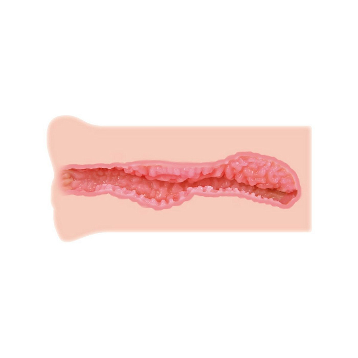 v8_7649_19a2d