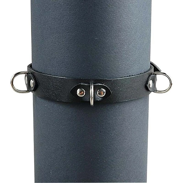 Ошейник «Beastly» с тремя кольцами