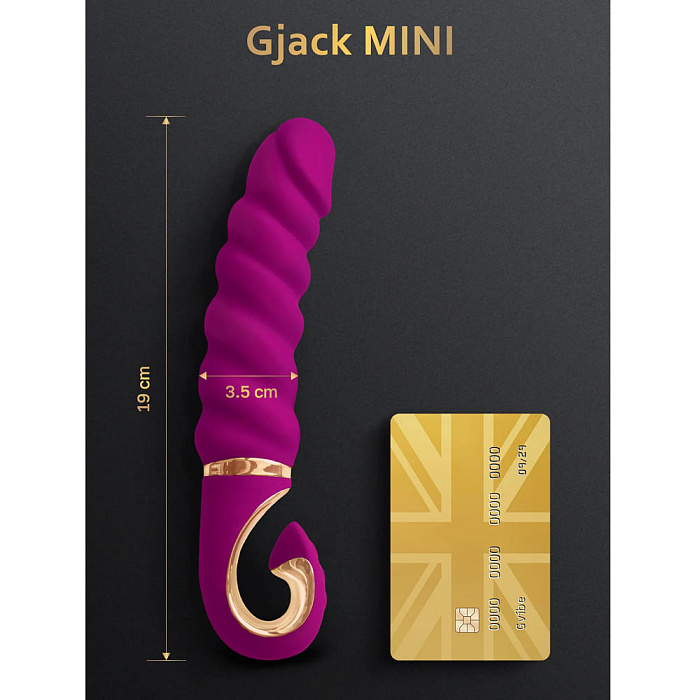 Gvibe_MiniVERS_GjackMINI_1350x1800_size