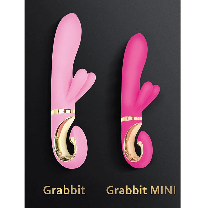 Gvibe_MiniVERS_GrabbitMINI_1350x1800_Big_MINI