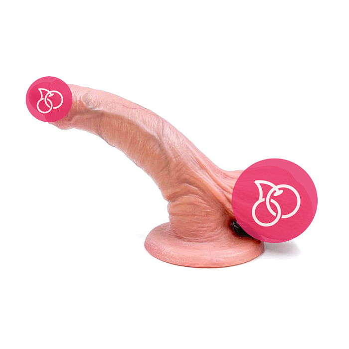 7 (1)