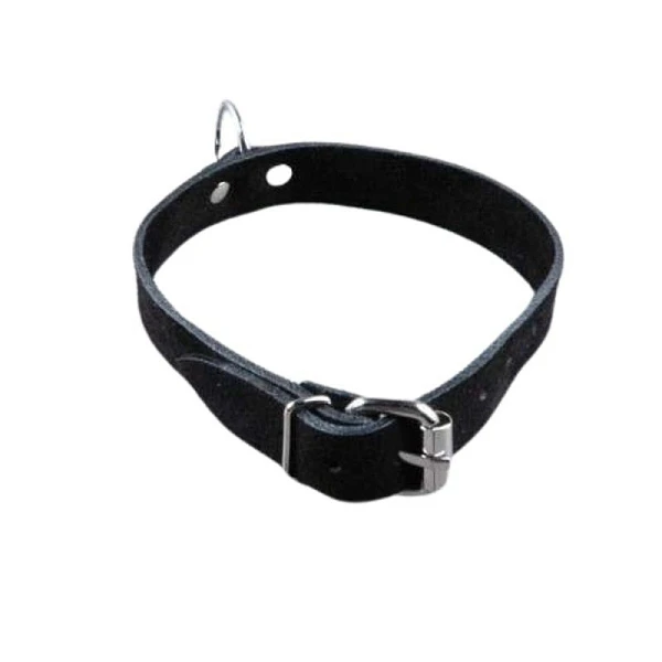 Ошейник замшевый «Beastly», черный