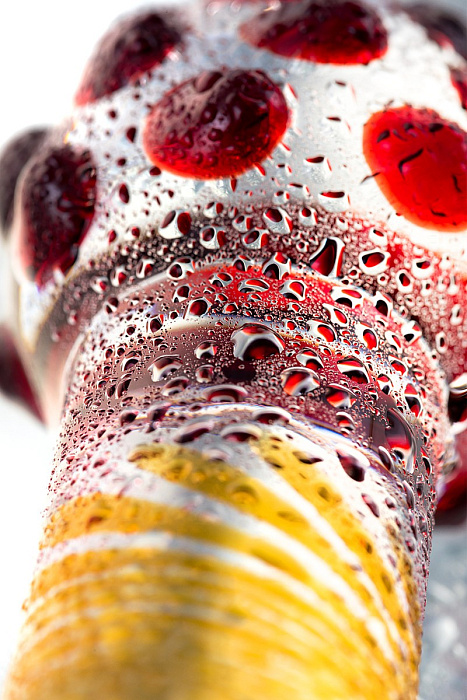 v8_7649_1959c