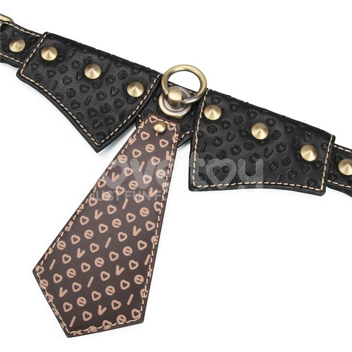 rebellion-reign-collar-with-chain (5)