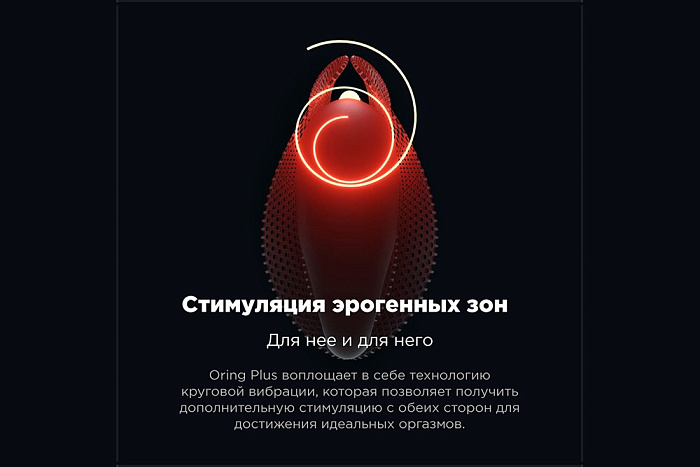 v8_7649_195d5
