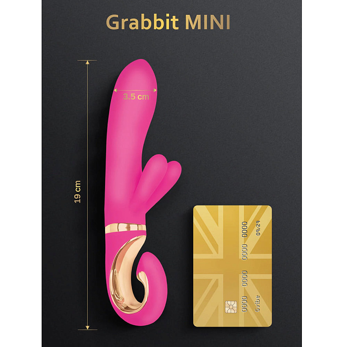 Gvibe_MiniVERS_GrabbitMINI_1350x1800_size