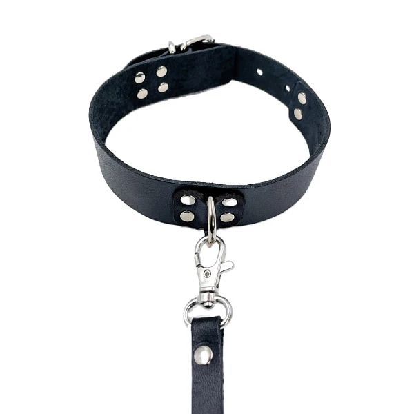 Ошейник «Эролайф» с поводком, черный