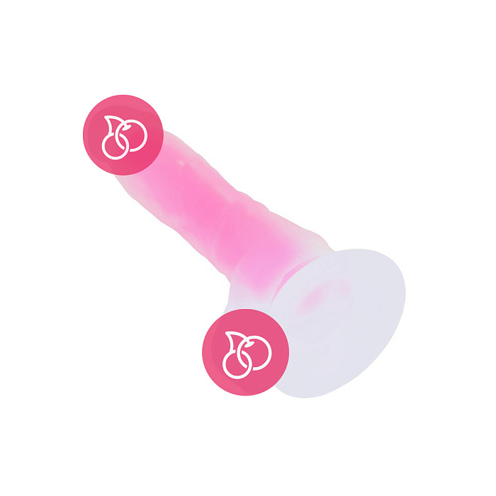 DO-013-S (1)