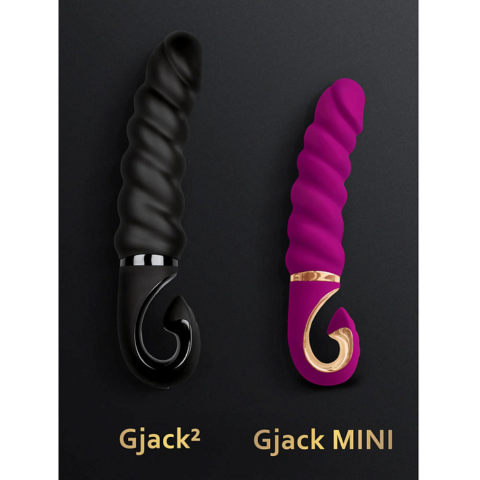 Gvibe_MiniVERS_GjackMINI_1350x1800_Big_MINI