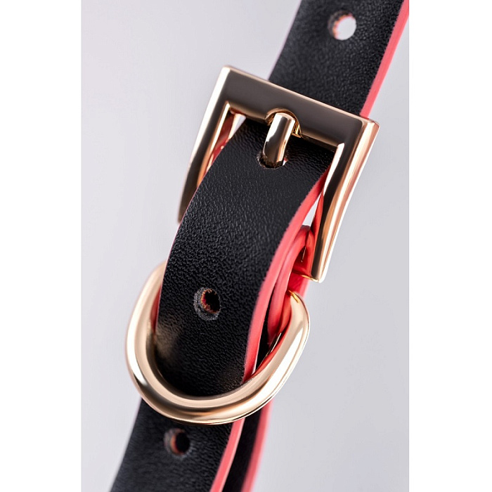 shop21140-16