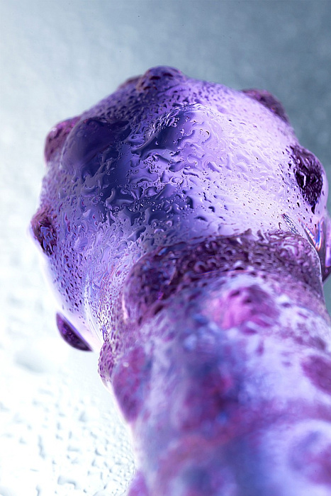 v8_7649_195b0