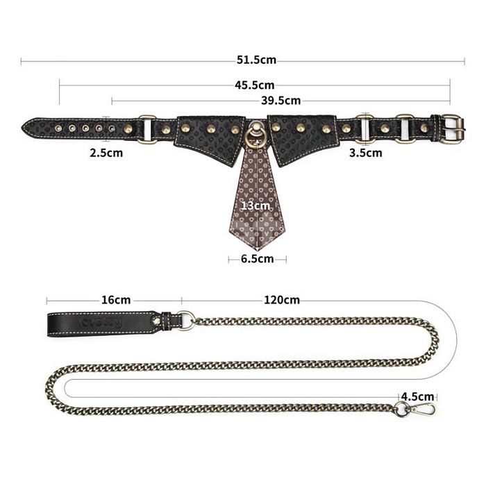 rebellion-reign-collar-with-chain (1)