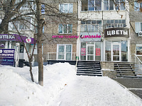 ул. Пушкинская, д. 286