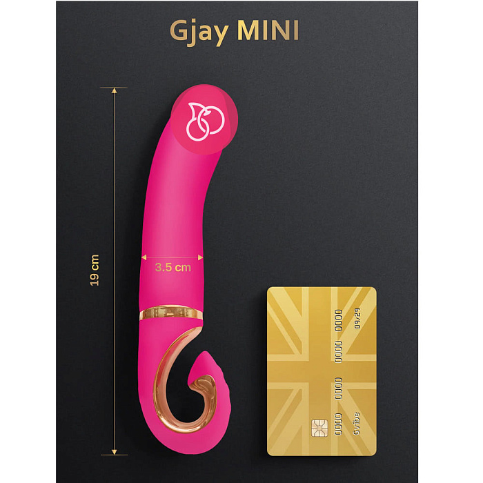 Gvibe_MiniVERS_GjayMINI_1