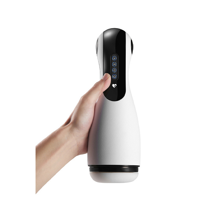 AM-V008-4